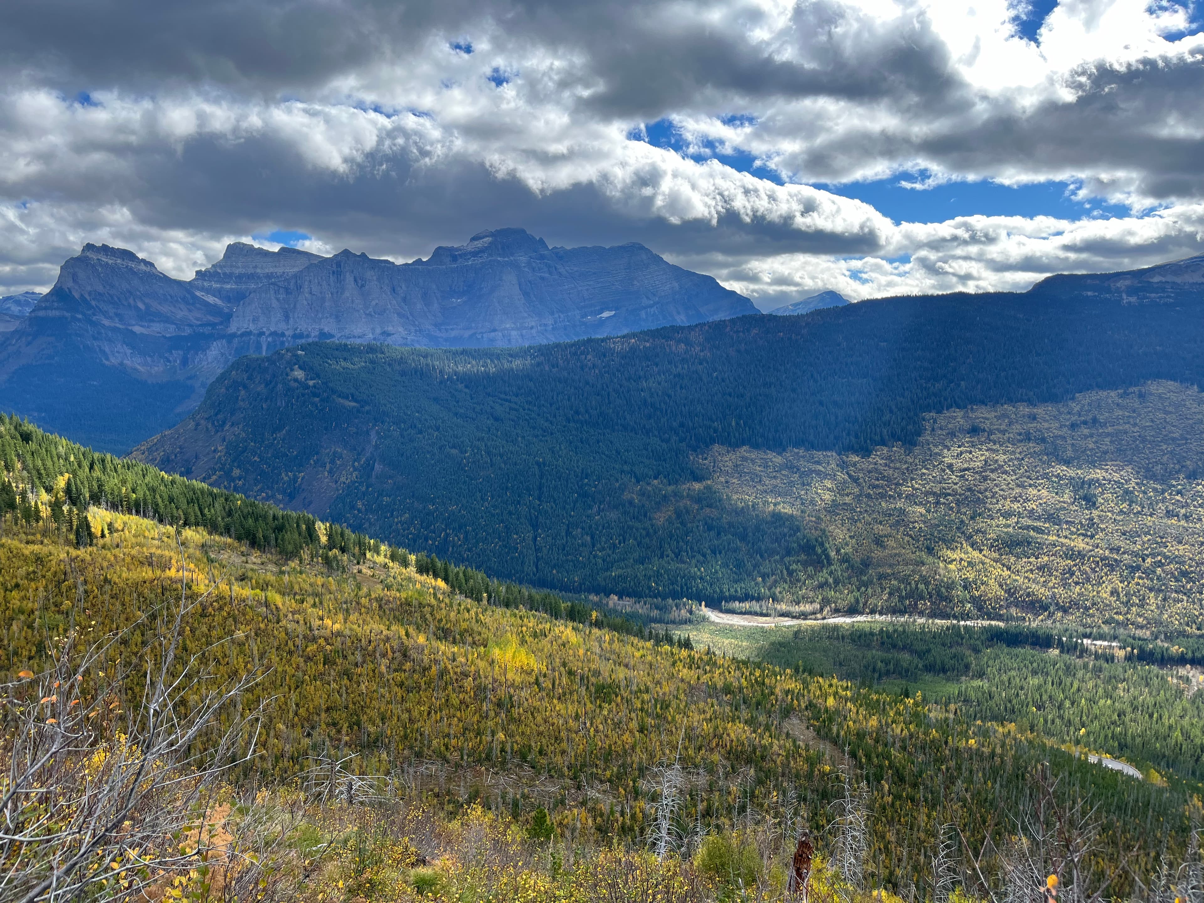 AI Strategy & Implementation