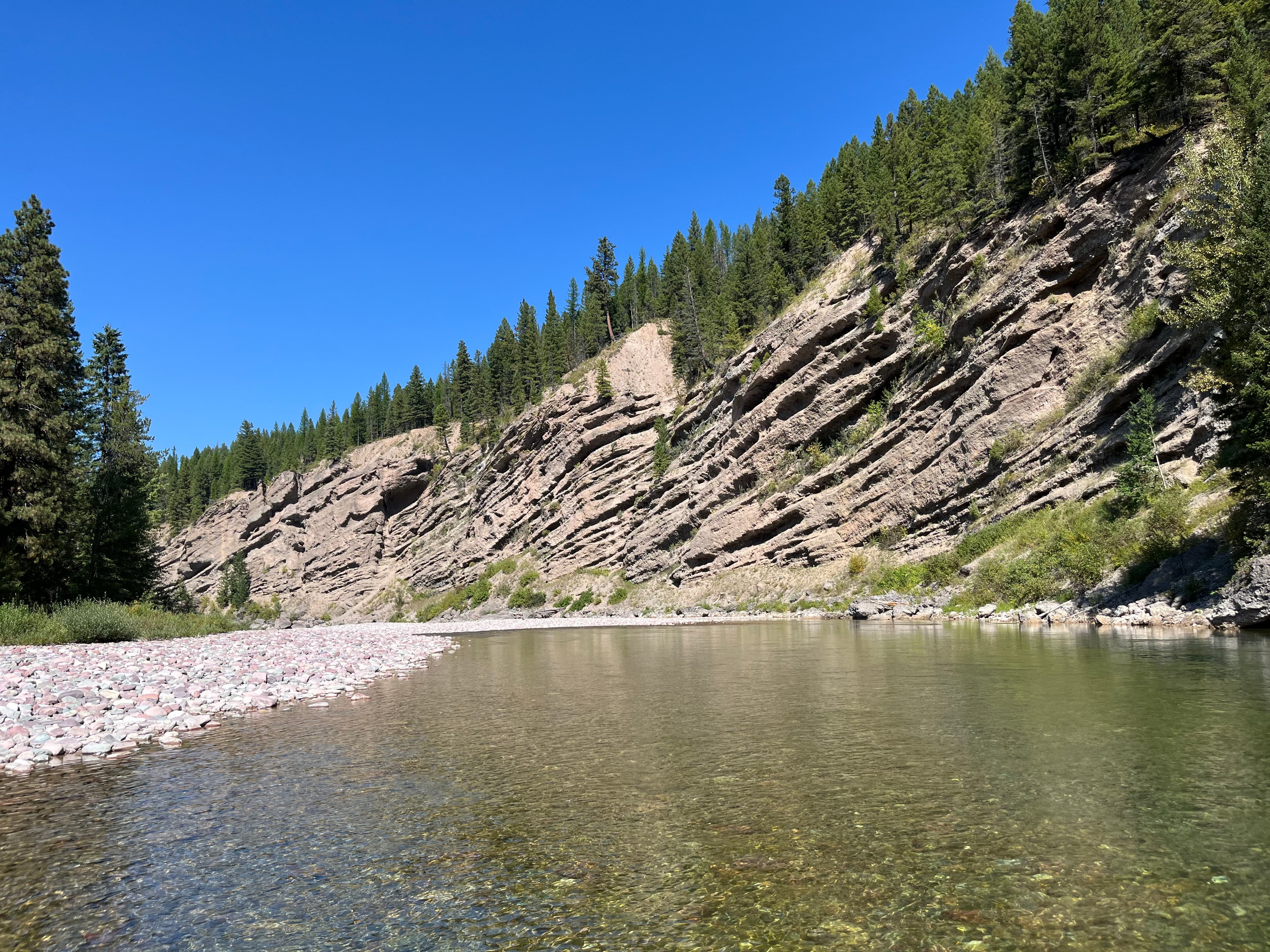 AI for Your Business